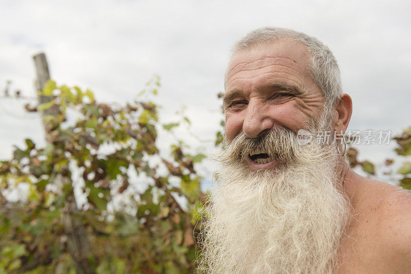Happy Senior Man with Long Beard肖像，Harvest，欧洲